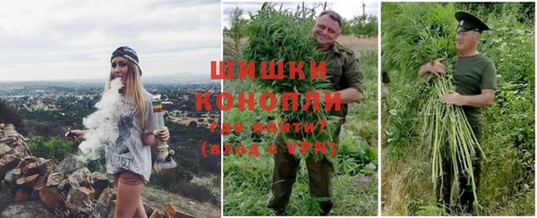 спайс Алзамай