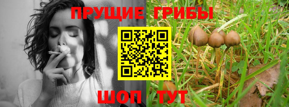 Галлюциногенные грибы Magic Shrooms Аша