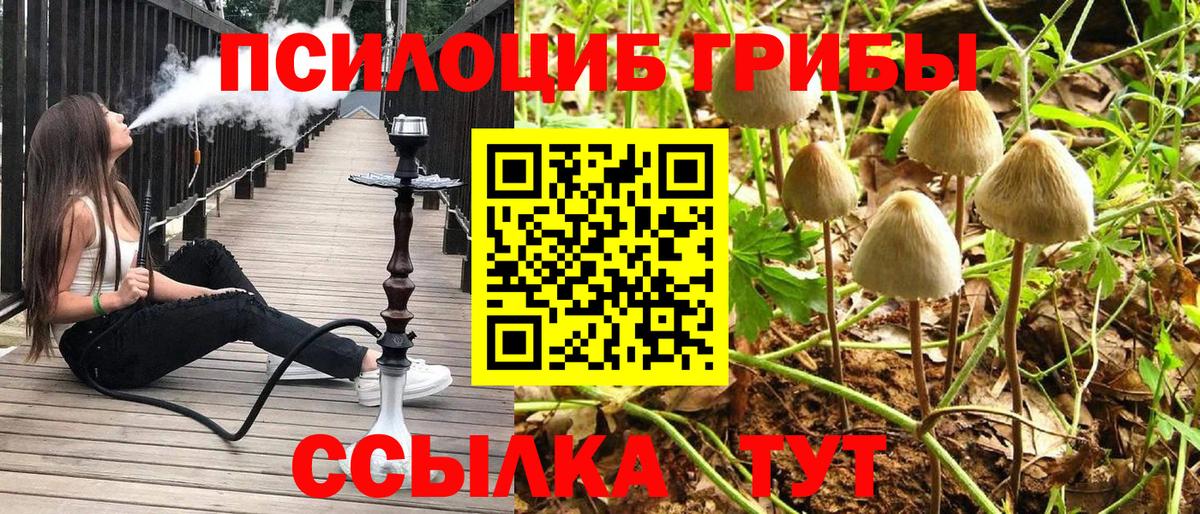 Аша  купить   Вход с VPN  Псилоцибиновые грибы прущие грибы 